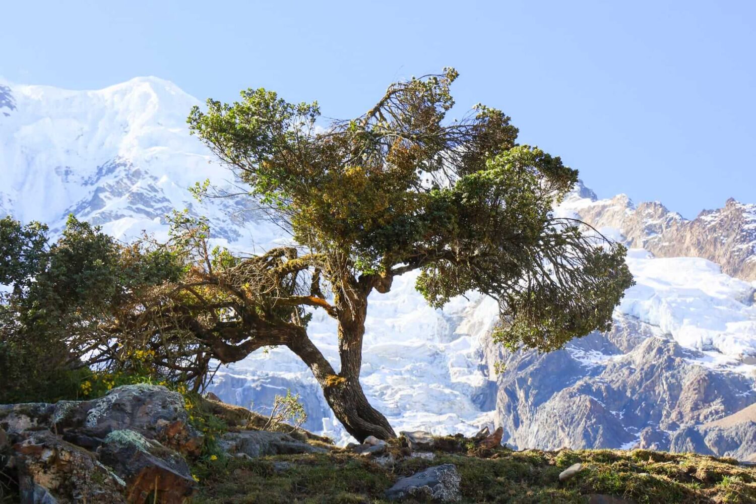 trekking salkantay